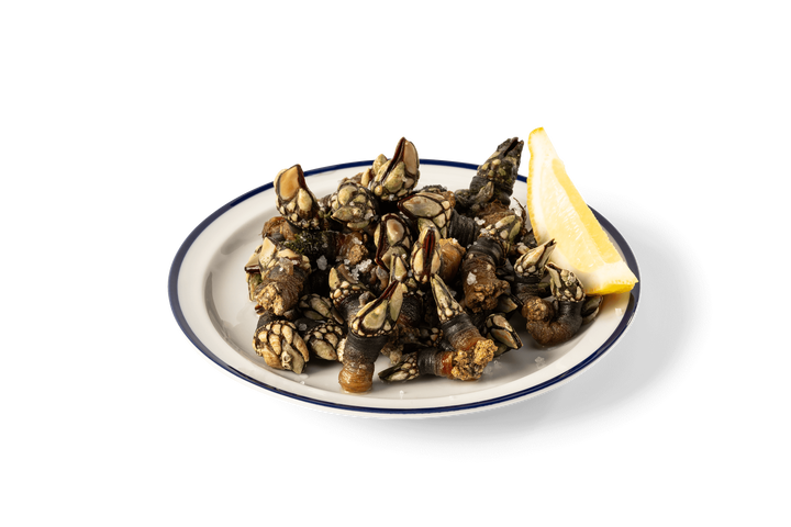 Percebes